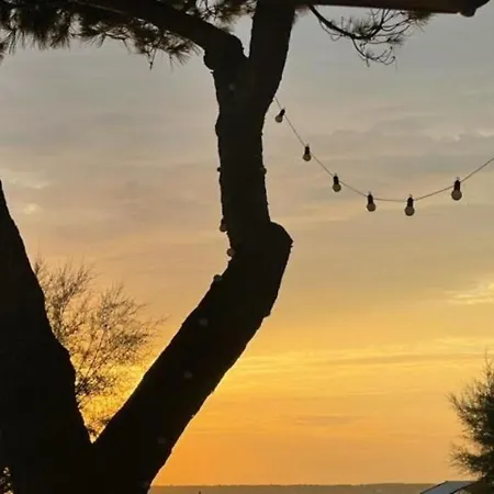 Entre Ocean Et Pinede Feriehus