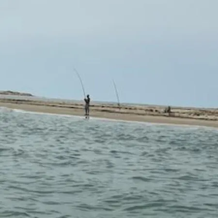 Feriehus Entre Ocean Et Pinede *