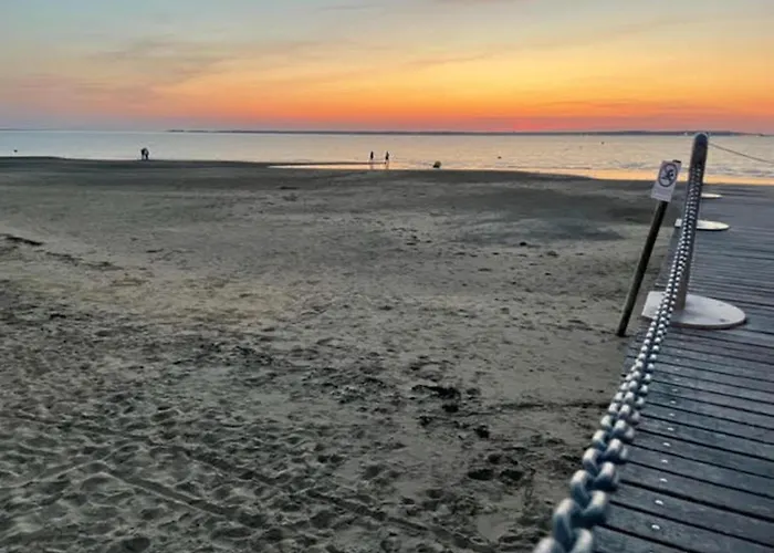 Entre Océan Et Pinède