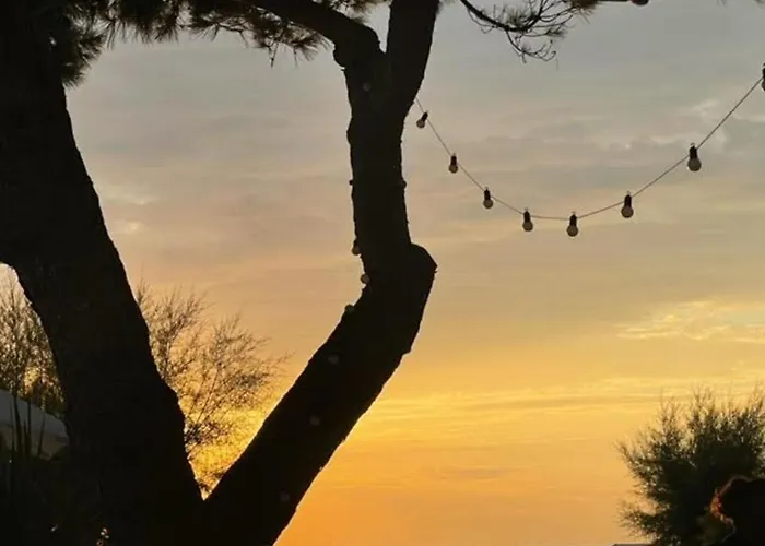 Entre Océan Et Pinède Сasa de vacaciones