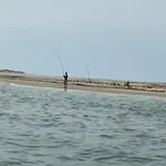 Entre Ocean Et Pinede Casa de Férias