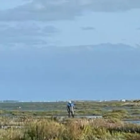 Entre Ocean Et Pinede *
