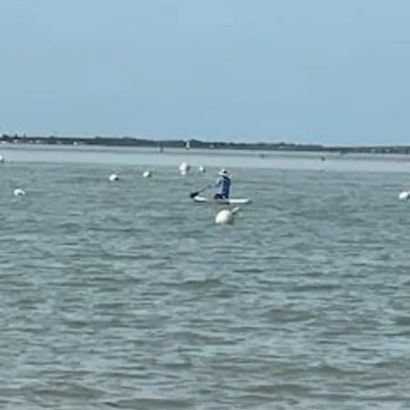 Entre Ocean Et Pinede * La Tremblade