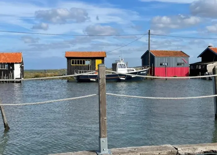Entre Océan Et Pinède
